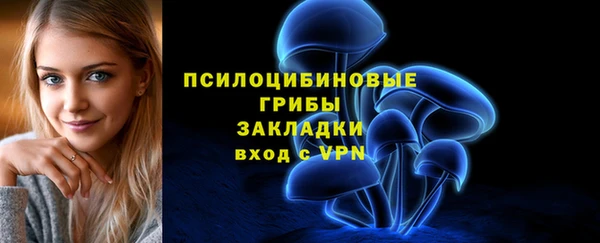 a pvp Арсеньев