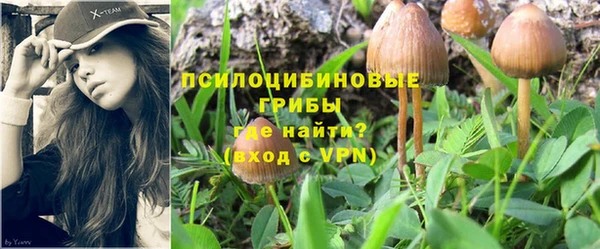 таблы Аркадак